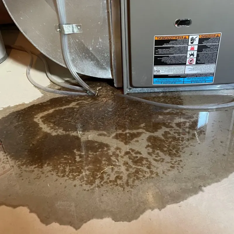 Pipe Burst and Leak Restoration in Twinsburg, OH